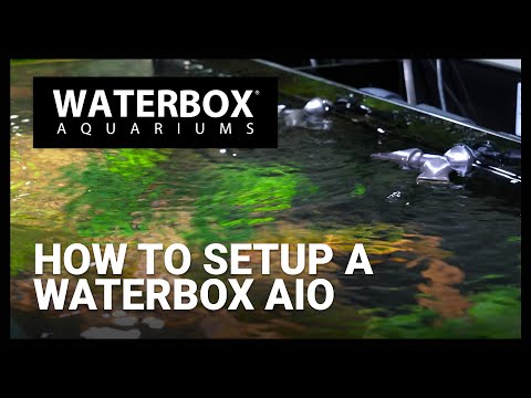 How To Setup AIO Aquarium from Waterbox Aquariums