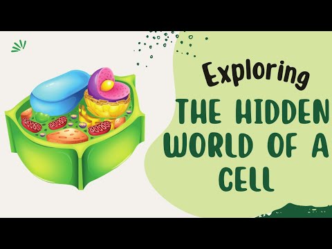 Hidden World of a Cell | Animation