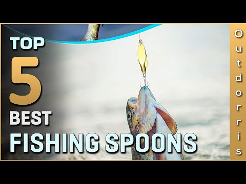 Top 5 Best Fishing Spoons Review in 2023