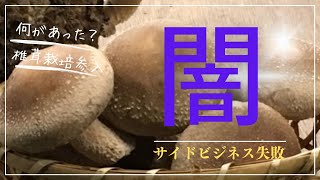 【生産者解説】椎茸栽培参入は【闇】なのか【夢】なのか？真剣に考えてる人は必見【サイドビジネス】