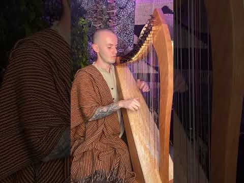 DreamWeaver Celtic Harp - Peaceful Dreams & Stress Relief Healing Harp Music  #meditation #relaxing