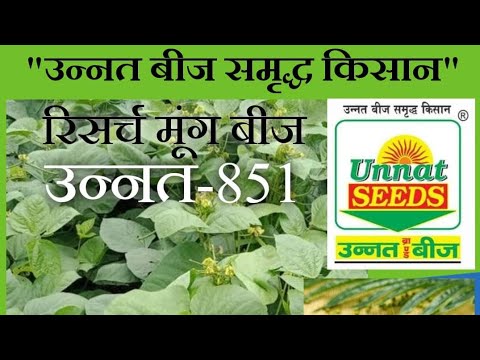 Moong ki Kheti | Moong Farming | Advance Farming | मूंग की खेती कैसे करें |  Smartfarming