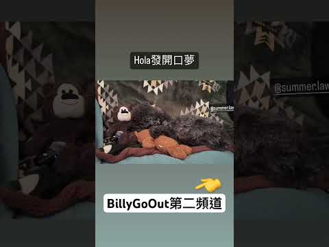 Hola發開口夢片段：BillyGoOut第二頻道 ￼￼ https://www.youtube.com/live/gNk5gQFPdwg?t=387&si=lOZMo1jr4_8_IBLZ