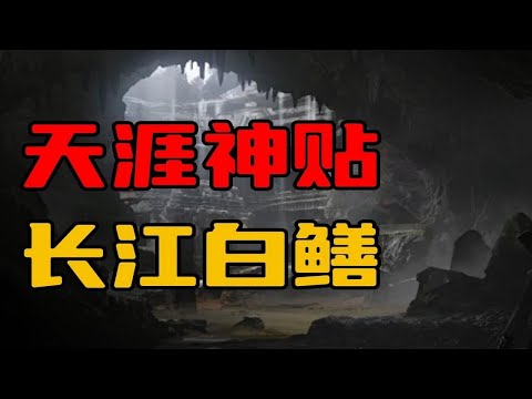 【天涯神贴】长江白鳝，水大棒，世间从不缺少恶魔！