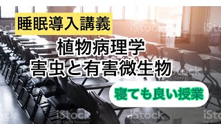 【眠れない時に　part.2】すぐ眠れる！寝ても良い授業！？植物病理学〜病害虫と有害微生物〜【睡眠導入用】