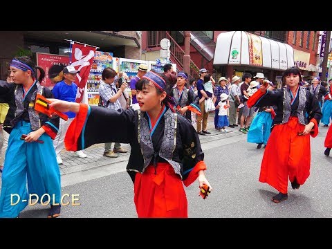 【新選組REVO】高幡不動参道七夕まつり#9 2018/7/7 よさこい