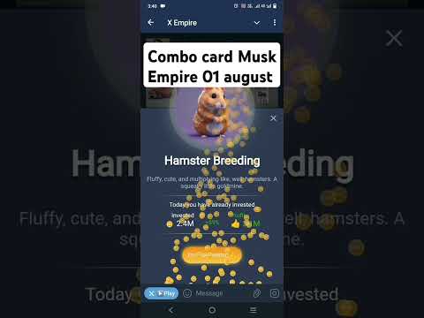 Musk Empire Daily Combo Card Investment 01 August| Daily combo card in musk empire #muskempire