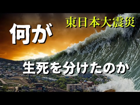 津波避難　何が生死を分けたのか