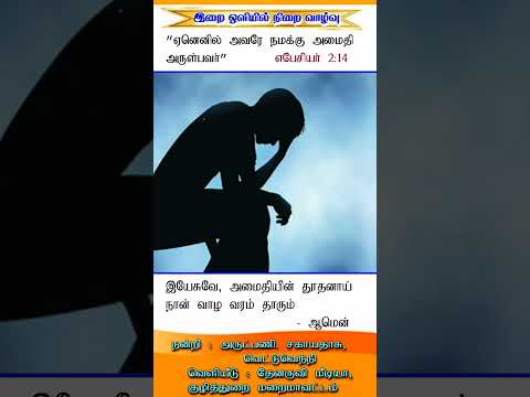 இன்றைய இறைசிந்தனை| (அமைதியின் தூதனாய் வாழ்வோம்) 22.10.2024