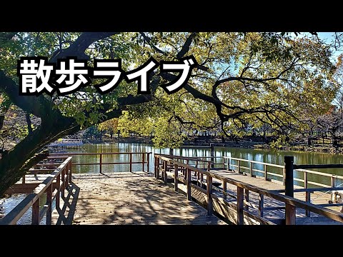 快晴☀️鶴ヶ島市運動公園から散歩ライブ配信中！