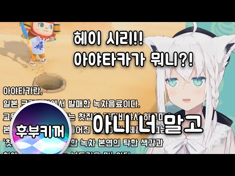 헤이 시리! ...어? [시라카미 후부키]