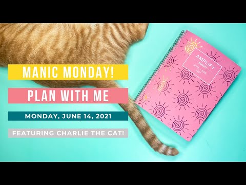 Pen Fails & Cat Naps | Manic Monday Plan with Me!