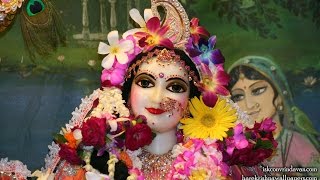 Srimati Radharani's Favorite Tune - Aindra Prabhu