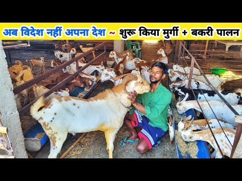 विदेश की नौकरी छोड़ बिहार में शुरू किया शानदार बकरी फार्म | Goat farming in Bihar