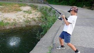 橋の下に潜んでいたヤバい巨大魚釣った！