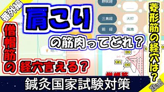 【鍼灸国家試験対策】肩こりの筋肉と経穴　徒手検査法番外編