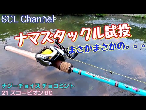 【SCL FISHING】ナマズタックル試投中まさかの展開。。。【神奈川某所】