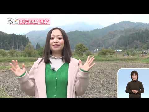 日本の原風景”里山”【2024.12.8「ひょうご発信！」ＴＨＡＴ’Ｓ　ＦＩＰＡＶＩ～】