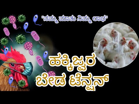 ಹಕ್ಕಿಜ್ವರಕ್ಕೆ ಮುಂಜಾಗ್ರತೆ ಮುಖ್ಯ.|| How to control bird flu in chickens