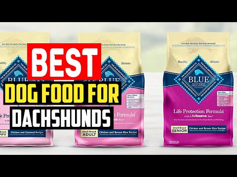 ✅ Top 5 Best Dog Food for Dachshunds in 2023