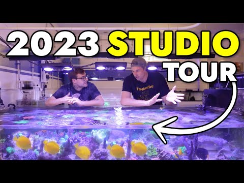 2023 Reef Builders Studio Tour - It's CLEAN!