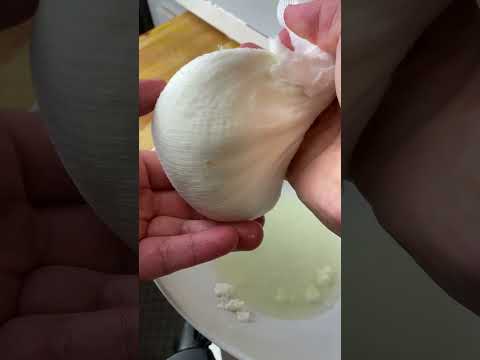 Dude Food | Homemade Mozzarella