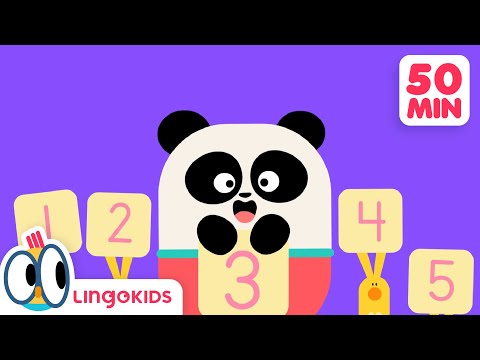 Five Senses Song + More Songs for Kids 🌈  Lingokids