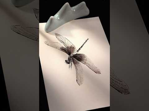 蜻蜓教程来了How to draw a dragonfly#水墨画 #watercolorpainting #中国画 #shorts