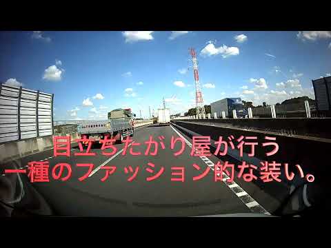 見事なまでのカモフラ車