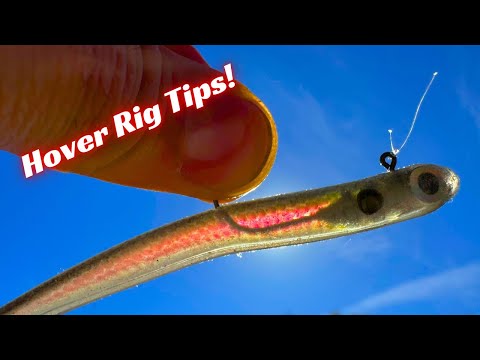 These Hover Rig Tips Will Double Your Bites!