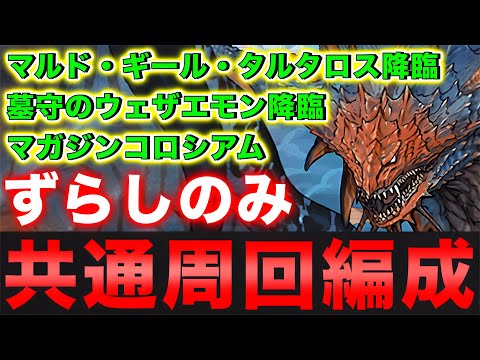 【共通編成】マルド・ギール・タルタロス降臨、墓守のウェザエモン降臨、マガジンコロシアムをネロミェール共通編成でずらし周回！【パズドラ】