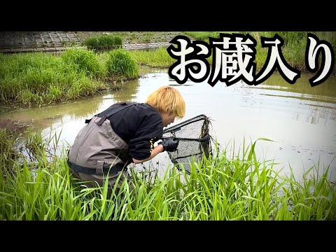 【ガサガサ】まさかの理由でボツになった動画