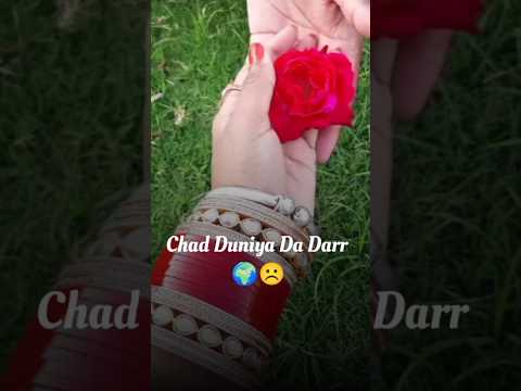 Chad Duniya da dar mera hoja shareaam ve | punjabi romantic song #WhatsAppstatus #lovestatus #shorts