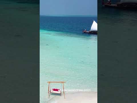 Maldives Videos | Vidéos des Iles Maldives