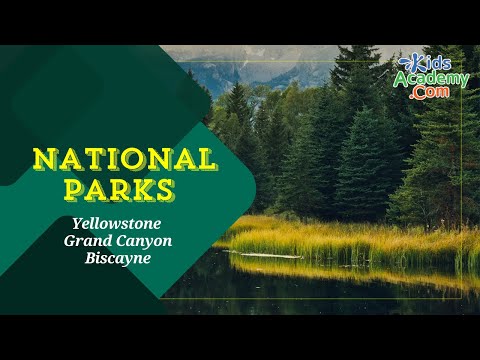 National Parks of the USA - Yellowstone, Grand Canyon, Biscayne. Kids Academy