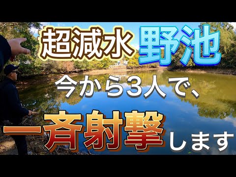 減水した野池にバイブレーションを投げまくると奇跡が・・・！！！！！