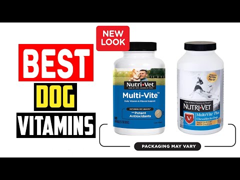 ✅Top 5 Best Dog Vitamins in 2024