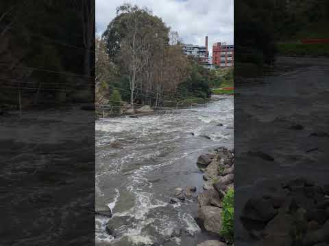 Dights Falls #shortvideo #shorts #melbourne