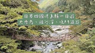 日本四國德島縣一日遊～來愛台灣的老闆娘家坐大步危遊船、挑戰走深山老林中的祖谷溪葛藤橋、世界三大漩渦之一的鳴門漩渦