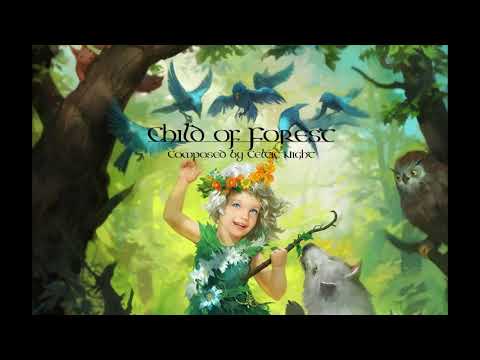 Celtic Music - Child of Forest