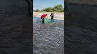 Fishing hunting video #1000subscriber #fishing #1millonveiws