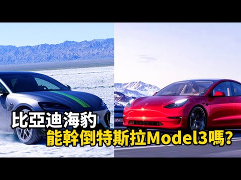 比亞迪海豹能幹倒特斯拉Model3嗎？