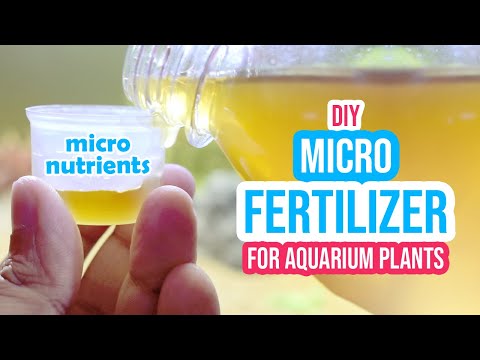 ☘️ DIY Liquid Micronutrient Fertilizer for Vibrant Aquarium Plants!