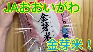 【金芽米】JAおおいがわさんの金芽米！　四杯目