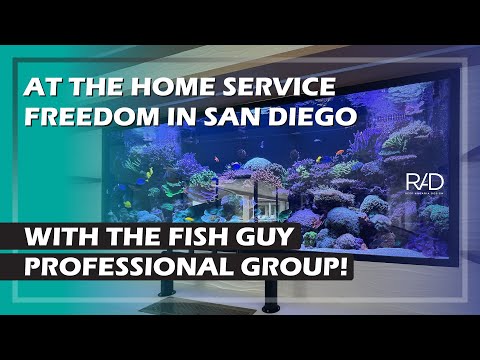 REEF AQUARIA DESIGN AT THE HOME SERVICE FREEDOM IN SAN DIEGO WITH THE FISH GUY PROFESSIONAL GROUP