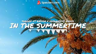 IN THE SUMMERTIME _- SHAGGY & RAYVON X VOSAAH[679] REMIX