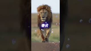 Lion Attitude shayari status Shayari status Attitude shayari #youtubeshorts#viral#shayari#shorts