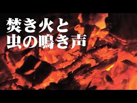 睡眠用BGM*雪景色の焚き火と虫の音色