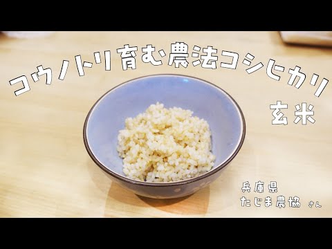 令和４年産たじま農協コウノトリ育む農法コシヒカリ　減農薬バージョン