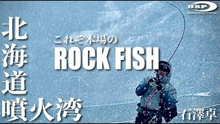 北海道噴火湾これぞ本場のロックフィッシュ！石澤卓